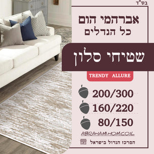 שטיחים לסלון